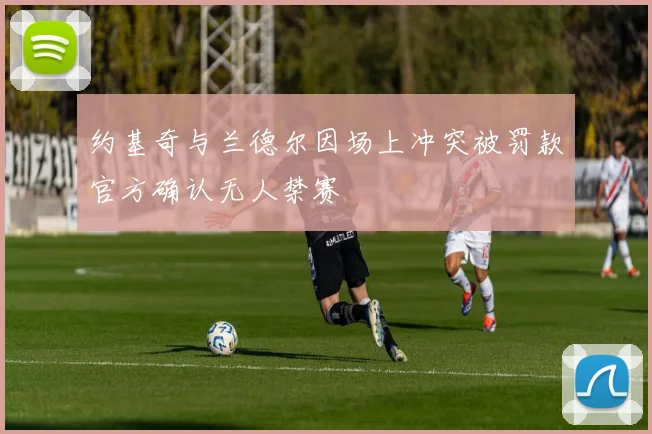 约基奇与兰德尔因场上冲突被罚款官方确认无人禁赛