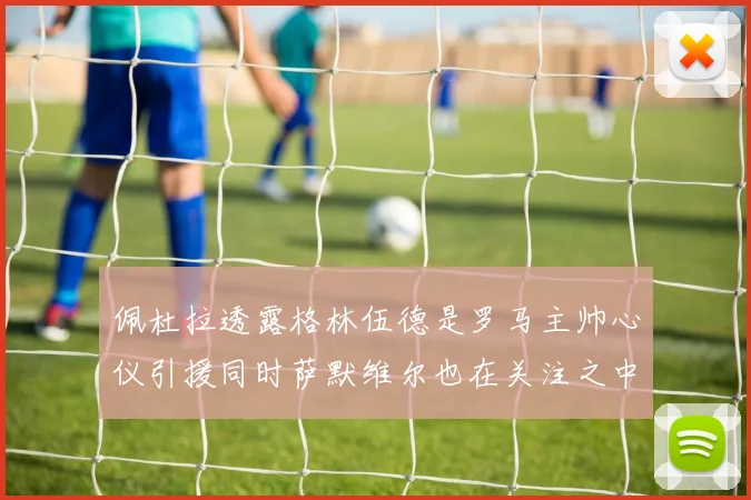 佩杜拉透露格林伍德是罗马主帅心仪引援同时萨默维尔也在关注之中